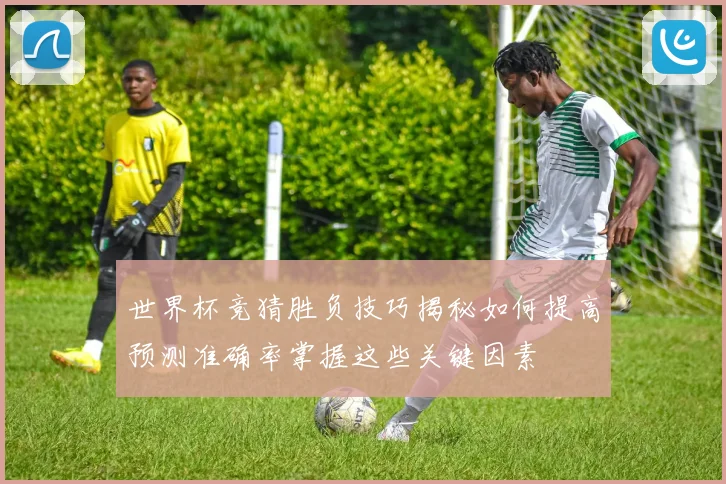 世界杯竞猜胜负技巧揭秘如何提高预测准确率掌握这些关键因素