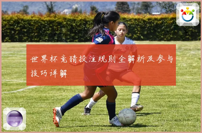 世界杯竞猜投注规则全解析及参与技巧详解