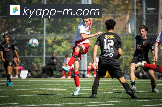 开云平台投资与使用安全性全面解析与真实评测